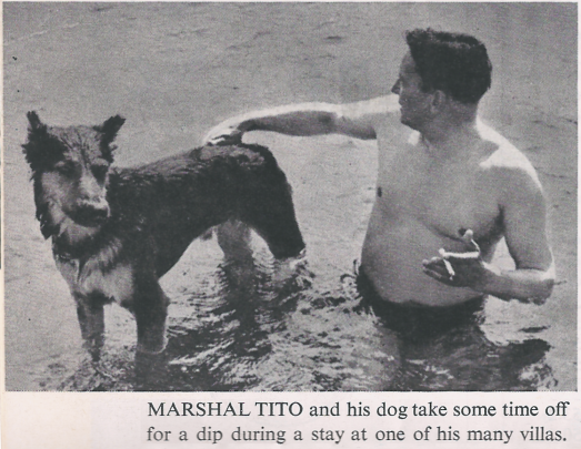 Marshal Tito takes a dip